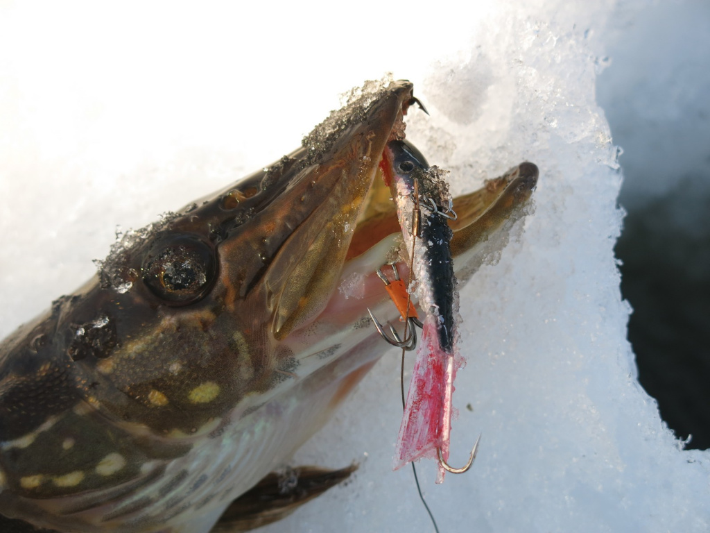 Подготовка балансиров к сезону Подготовка балансиров к сезону