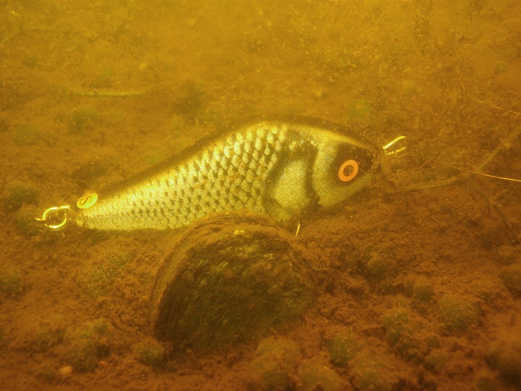 Salmo Slider на дне водоёма Salmo Slider на дне водоёма