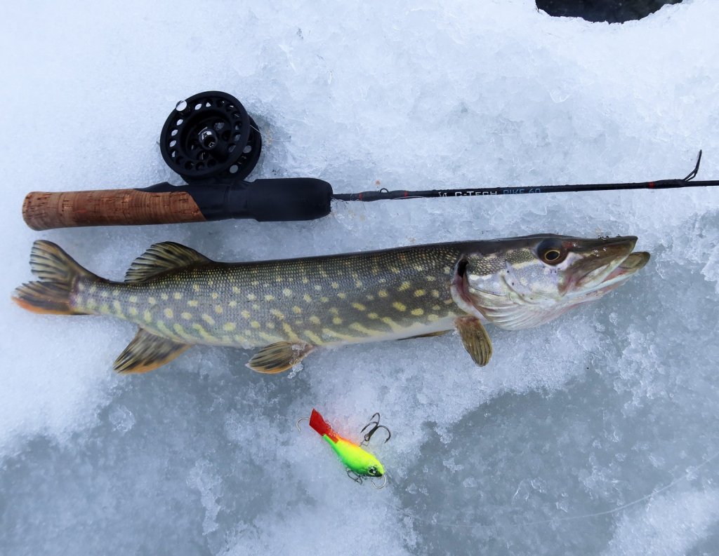 Балансирная снасть, приманка и щука