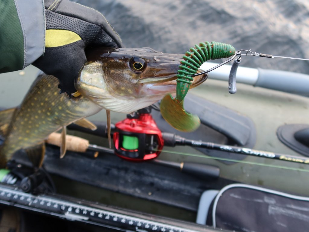 Щука клюнула на крупный твистер