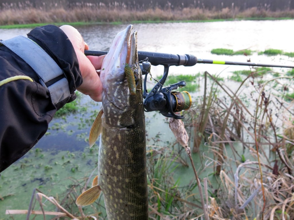 Щука, приманка и снасть