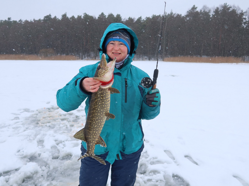 Балансирная щука в начале сезона