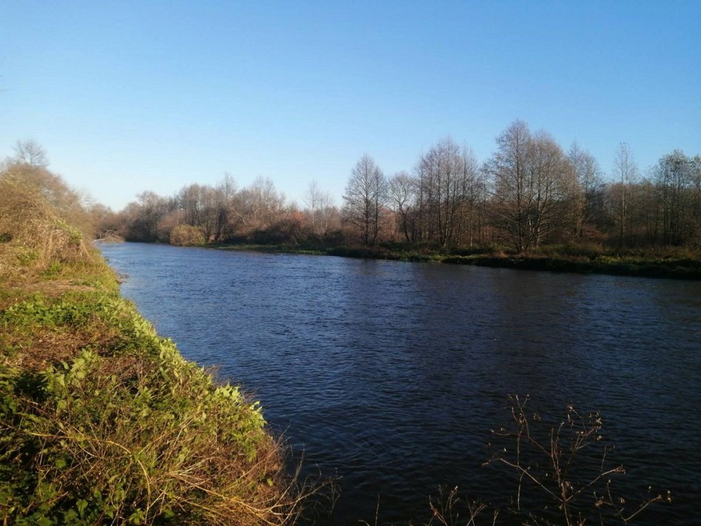 Фотография реки