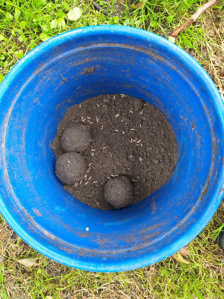 восемь ошібок в поплавочной ловле 0008.JPG