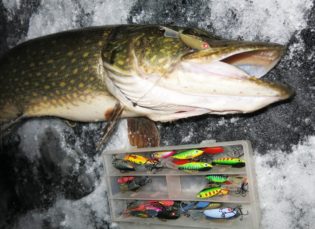 Щука на льду с приманками Щука на льду с приманками