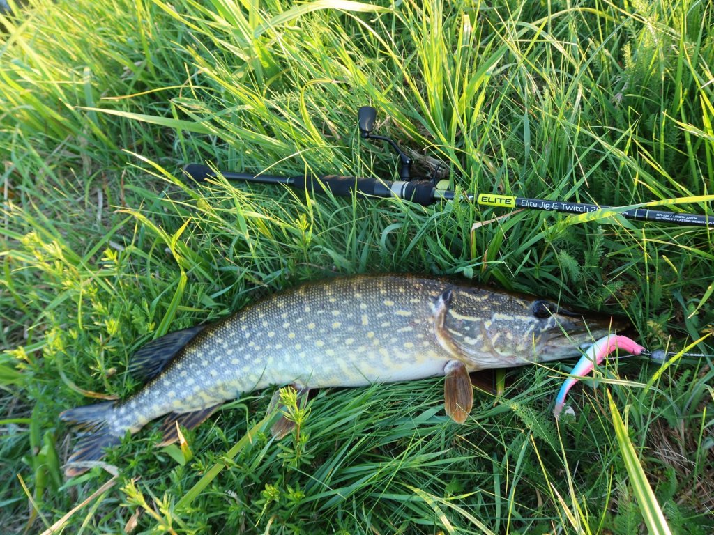 Щука с приманкой и снасти на траве
