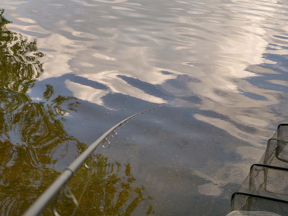 Фидерная ловля Рыбалка на фидер