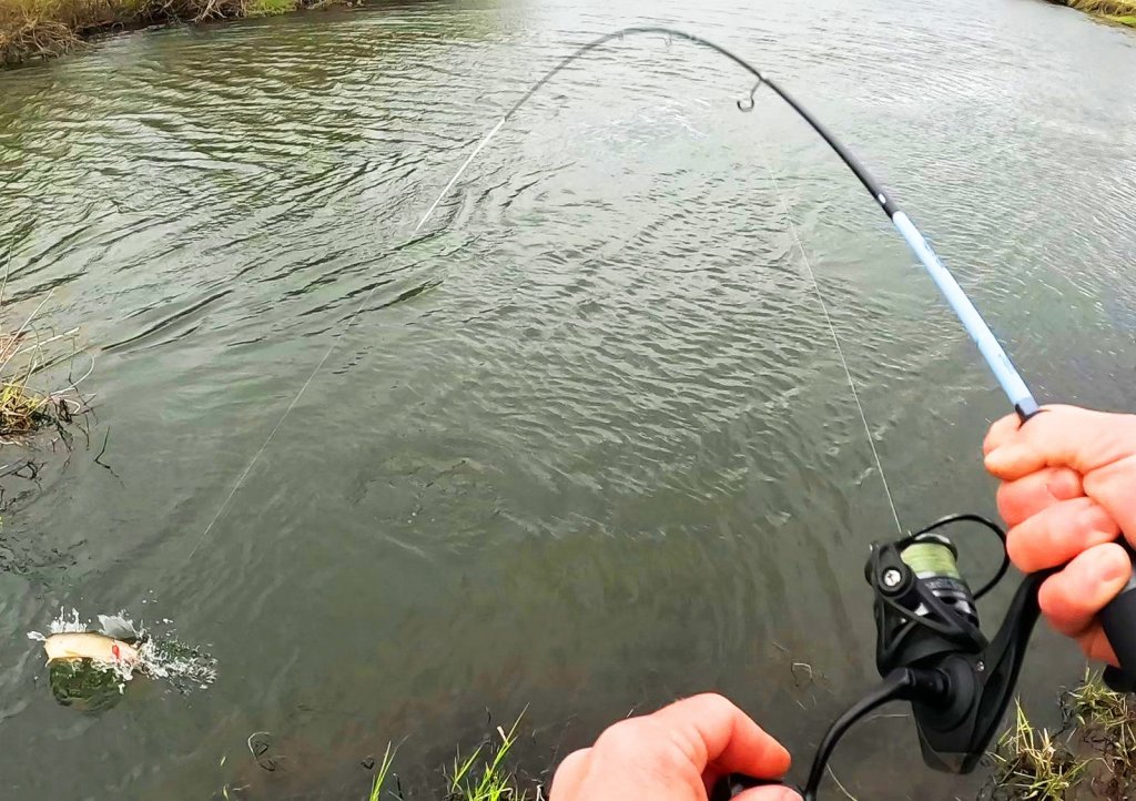 Щука гнёт спиннинг