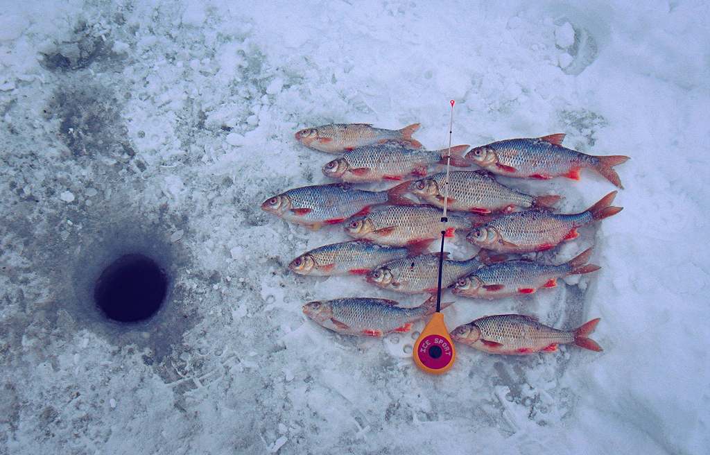 Ловля плотвы на минском море по первому льду 00003.jpg Ловля плотвы на минском море по первому льду 00003.jpg