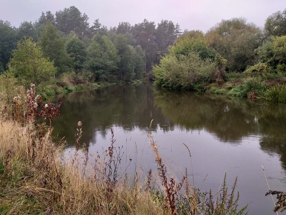 Река Свислочь в октябре