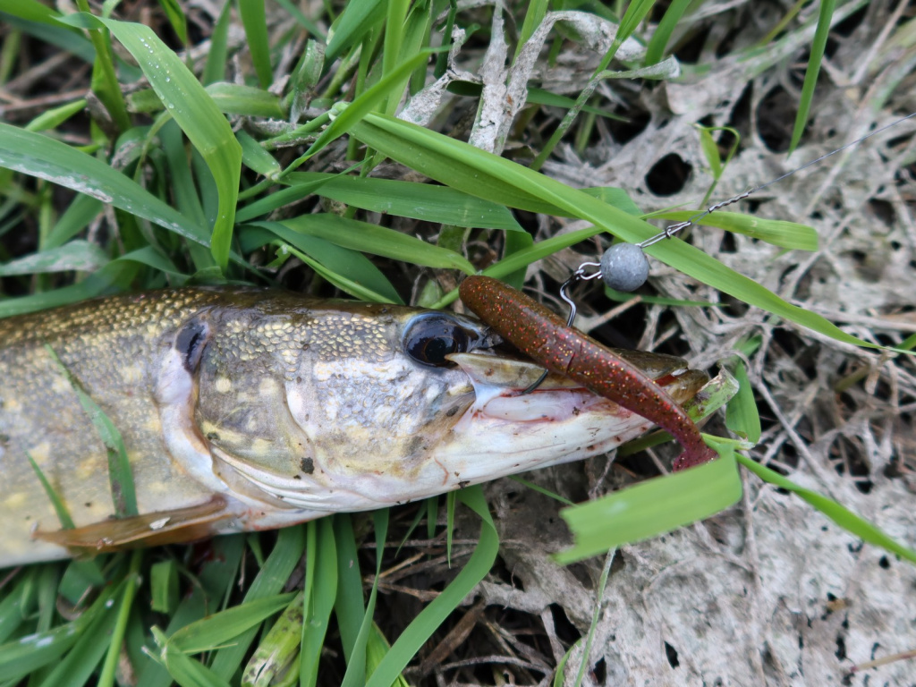 Lucky John Slim Shaker – лучшая приманка сезона