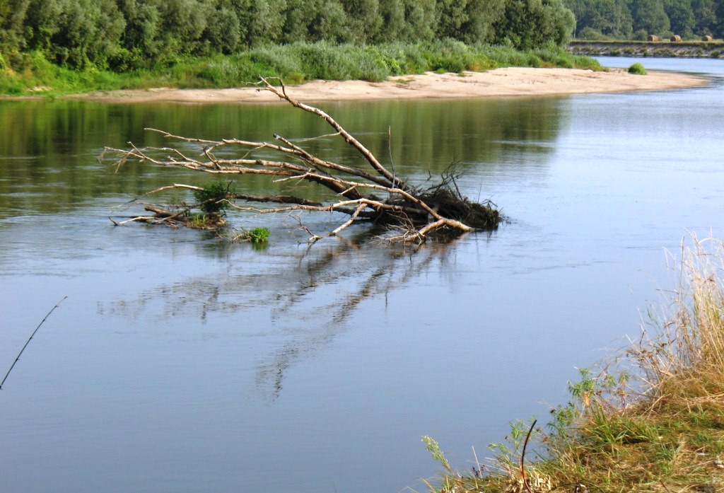 Рыбалка выходного дня_6.jpg Рыбалка выходного дня_6.jpg