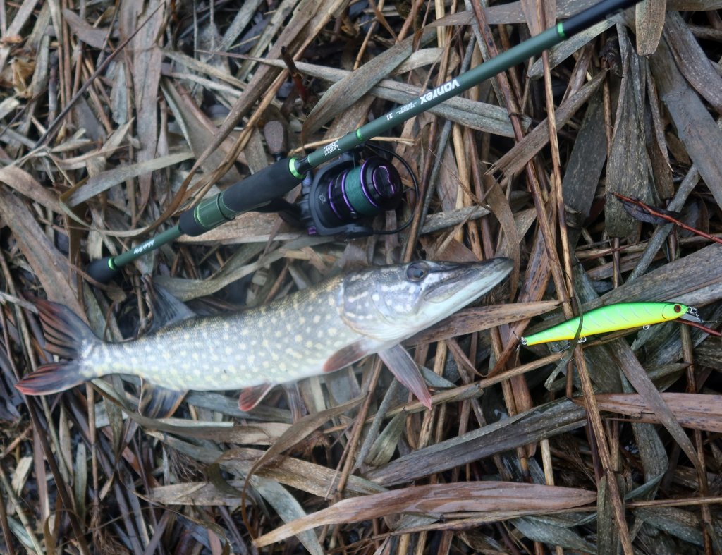 Щука, спиннинг и воблер на берегу