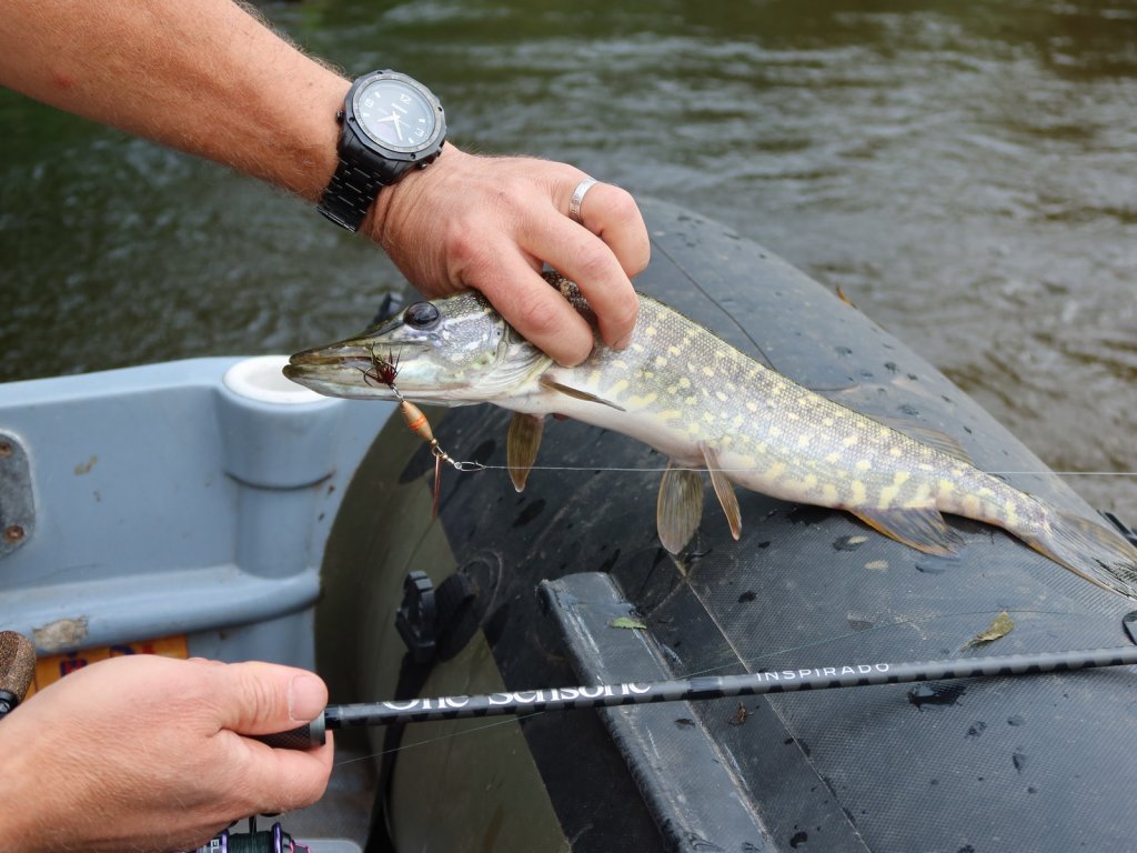 Щука и спиннинг на борту лодки