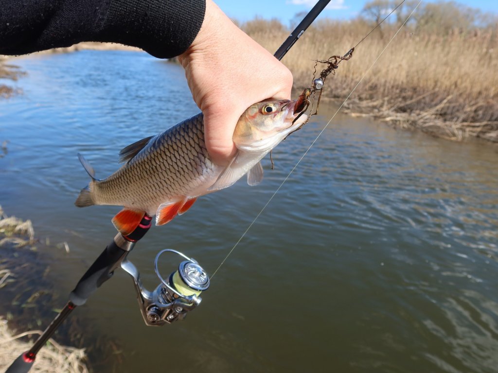 Голавль клюнул на микроджиг