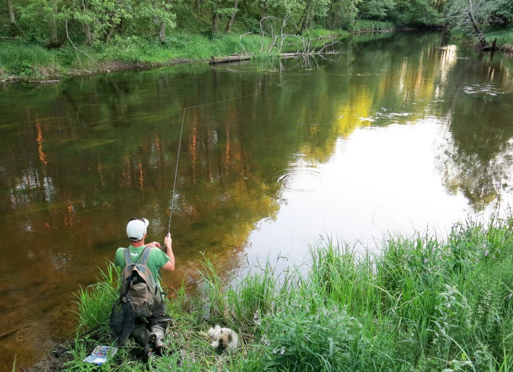 Спиннингист ловит на речном перекате