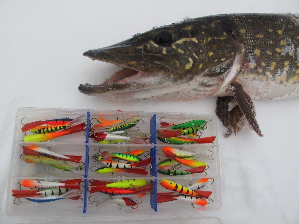 Щука и коробка с балансирами