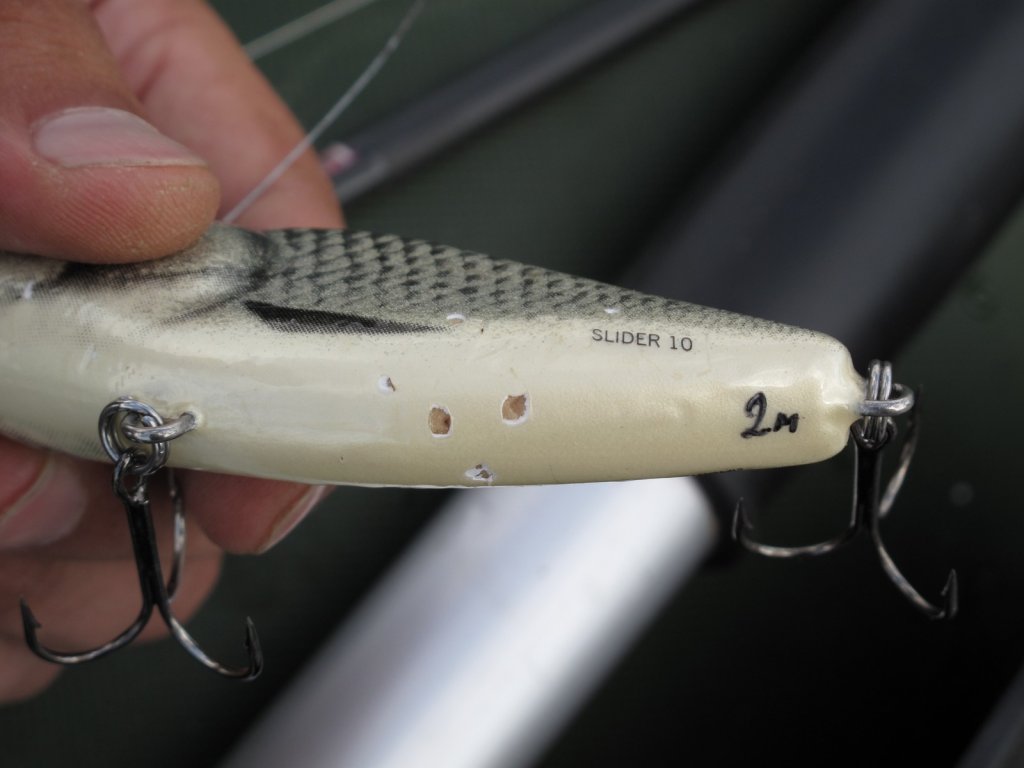 Salmo Slider 10 со следами зубов щуки Salmo Slider 10 со следами зубов щуки