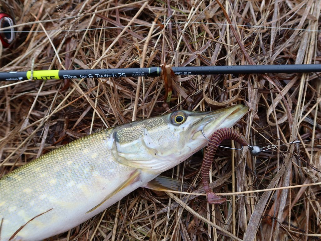 Щука и спиннинг Salmo Elite Jig & Twitch 25