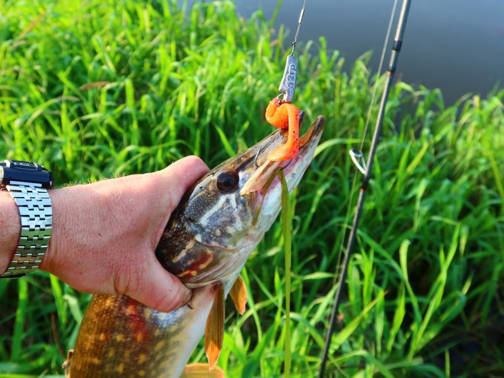 Сработала оранжевая резина