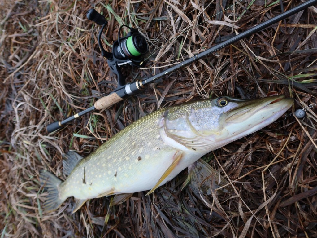 Cпиннинг Lucky John Vantage 21 - для джига и щуки