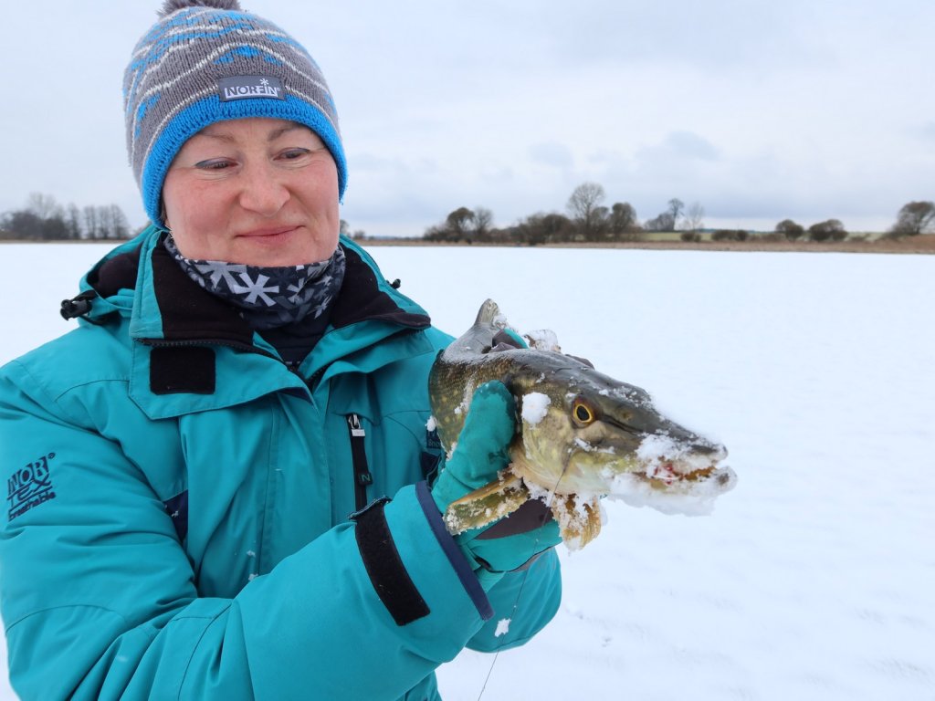Рыбачка поймала щуку со льда