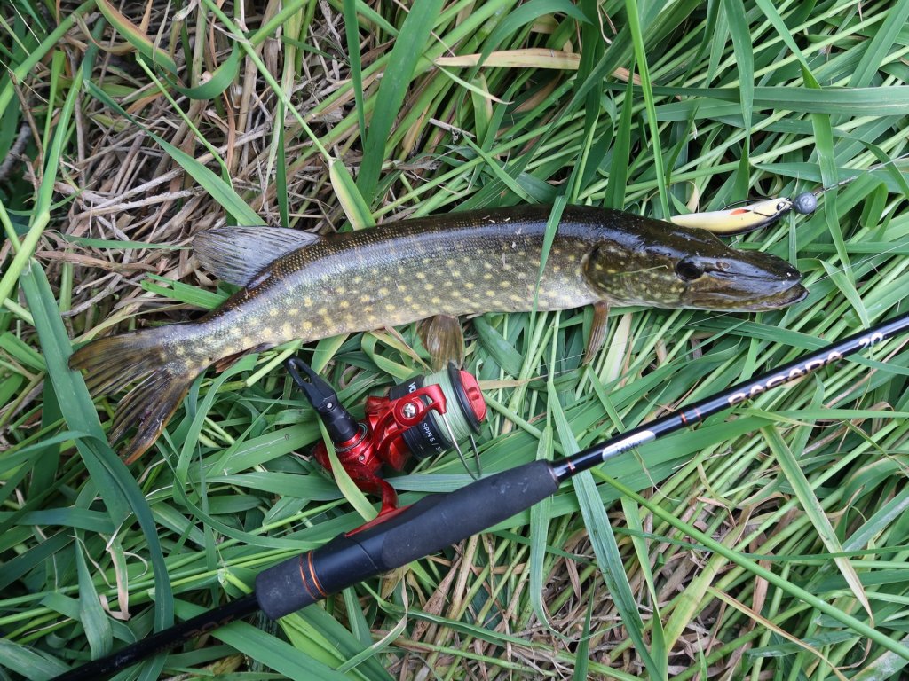 Щука на резину, катушка Lucky John Vanrex Spin 5 и спиннинг Basara 20