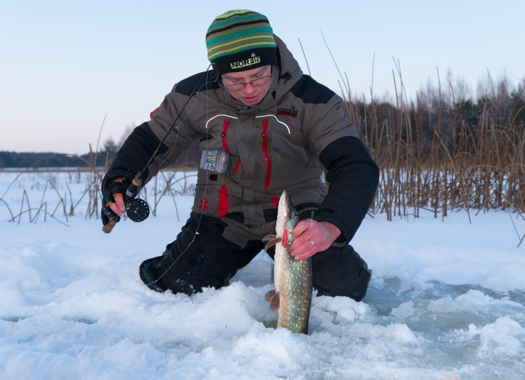 Валерий Сикиржицкий достаёт щуку из лунки