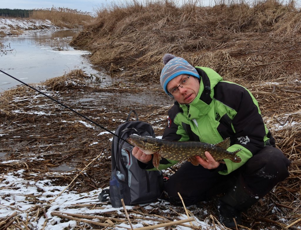 Рыболов-спиннингист со щукой на реке