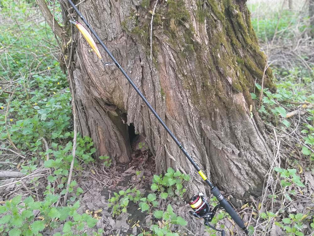 ловля щуки в мае 00011.JPG