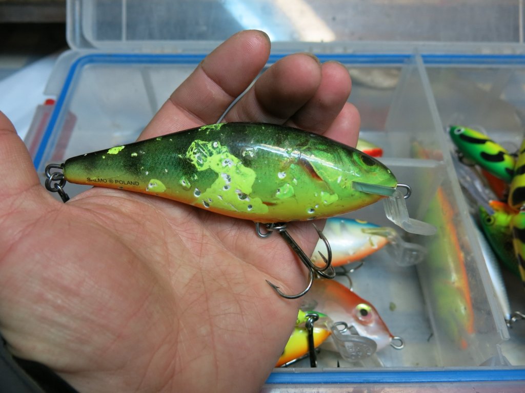 Воблер Salmo Executor 12 со следами щучьих зубов Воблер Salmo Executor 12 со следами щучьих зубов