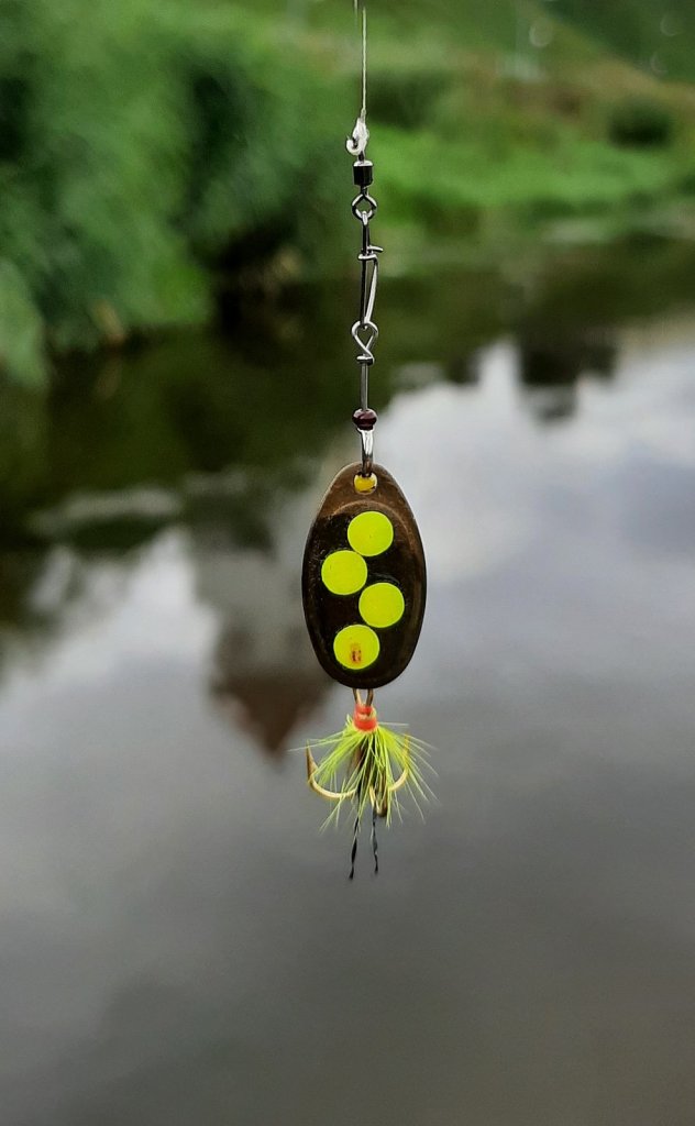 Вращающаяся блесна с точками на лепестке Вращающаяся блесна с точками на лепестке