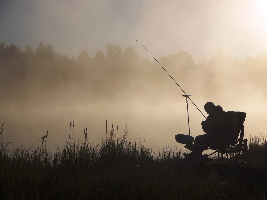 Рыболов ловит леща на фидер летним утром