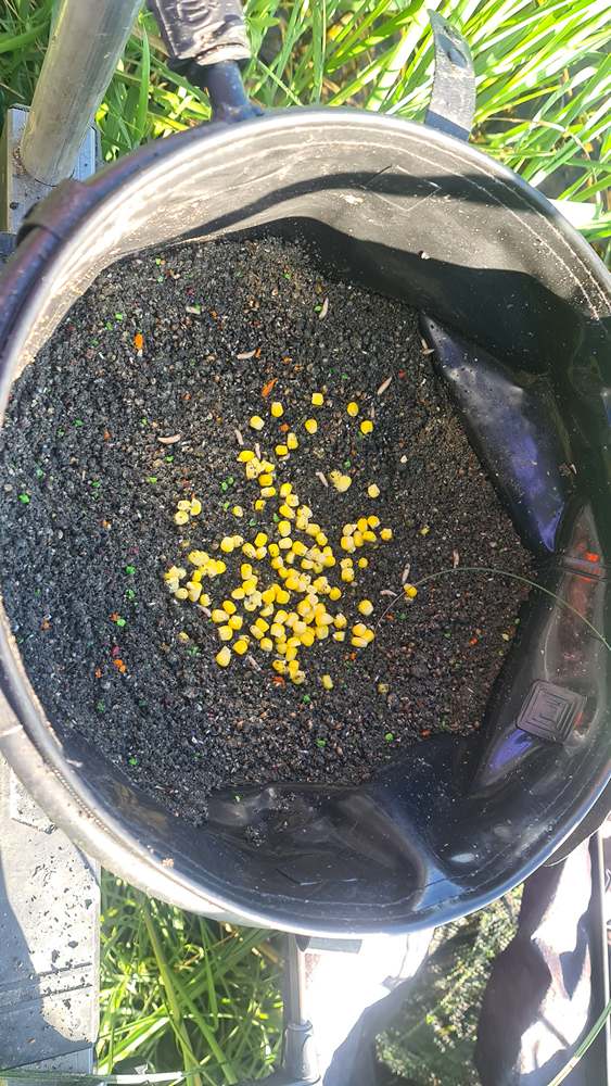 рыбалка на реке в июне 00002.JPG