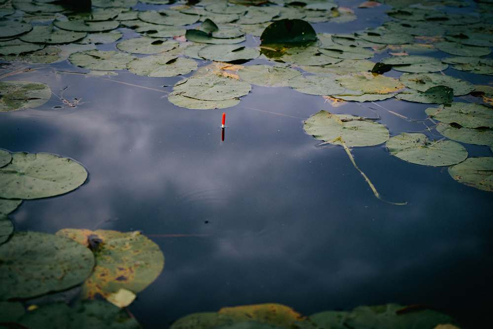 за летним карасем 0005.JPG