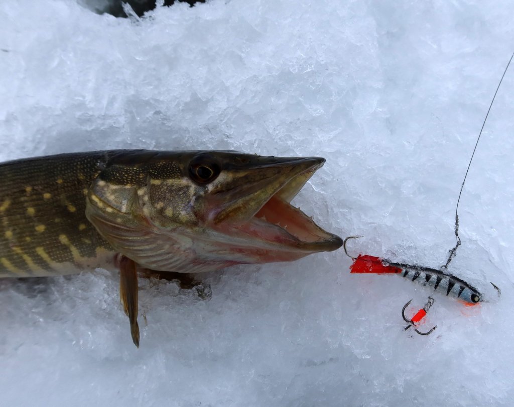 Щука и балансир Lucky John Nordic