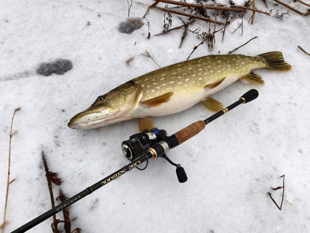 Cпиннинг Lucky John Vantage 21 с зимней щукой