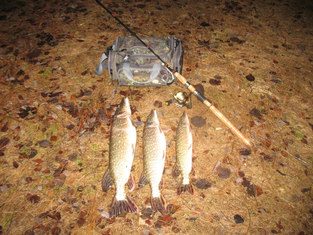 Щуки на джиг