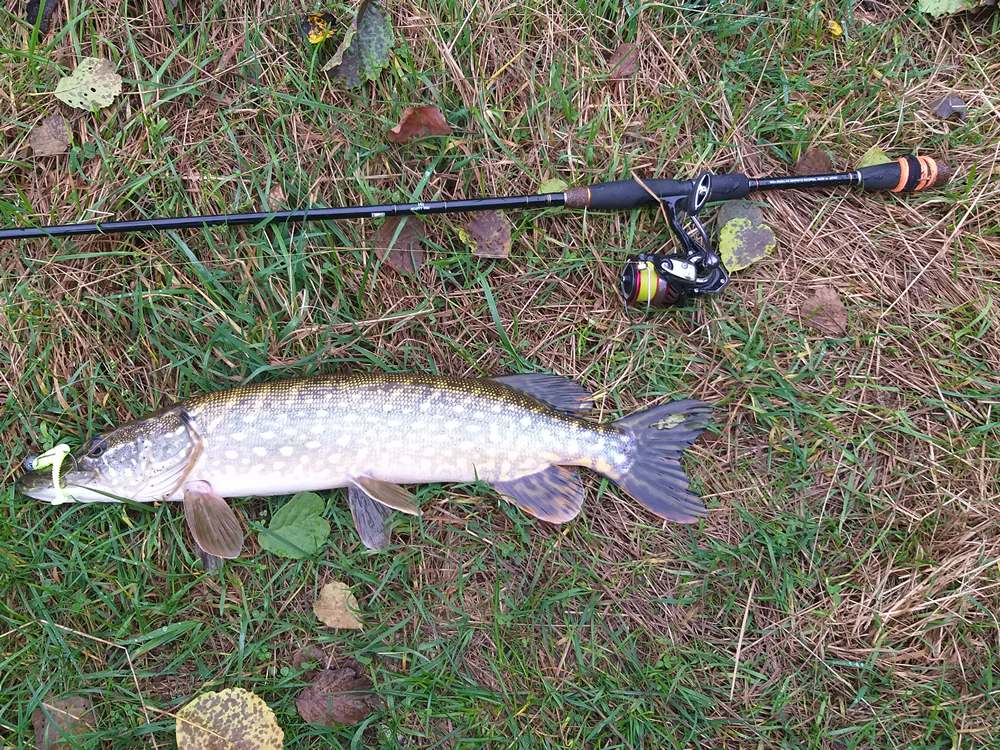 Речная щука на воблер