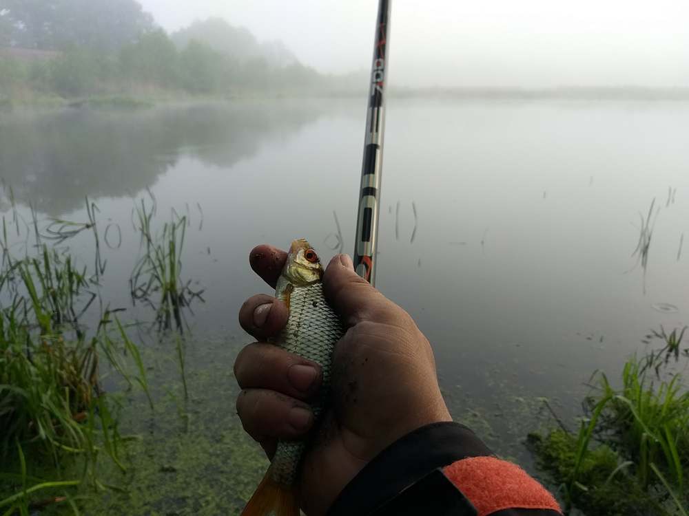 душевная рыбака с маховой удочкой 0002.JPG