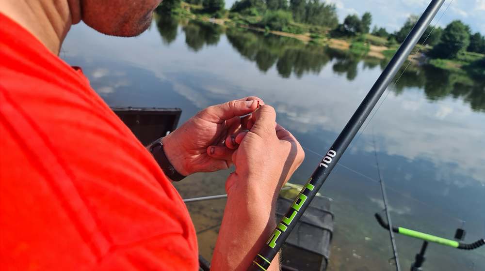 Специфика речной рыбалки накануне осени 0005.JPG