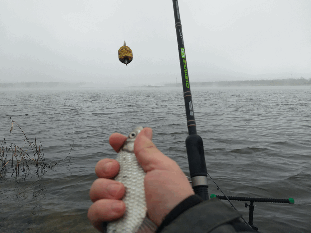 Что такое флэт в рыбалке - подробное описание
