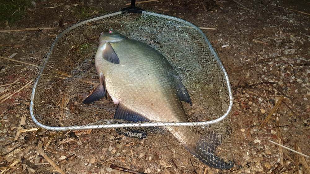 ночная рыбалка на леща четыре совета 00005.JPG