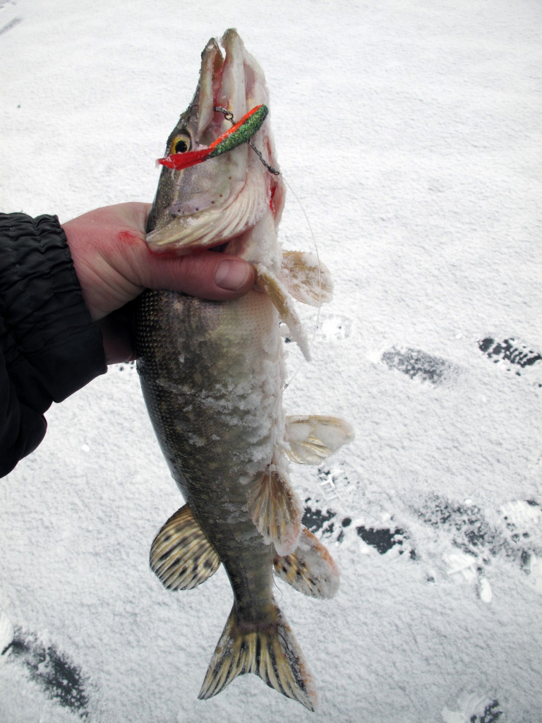 Подготовка балансиров к сезону Подготовка