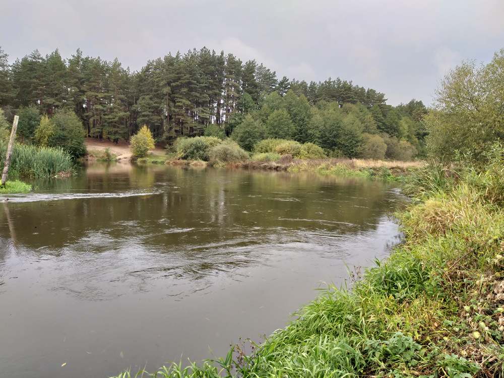 Река Свислочь в среднем течении