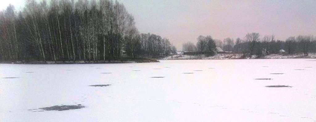 виды коряжника и тактика ловли зимой в коряжнике 00003.JPG