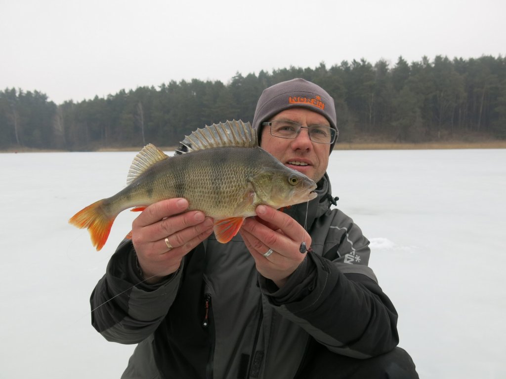 Валерий Сикиржицкий с крупным окунем на льду