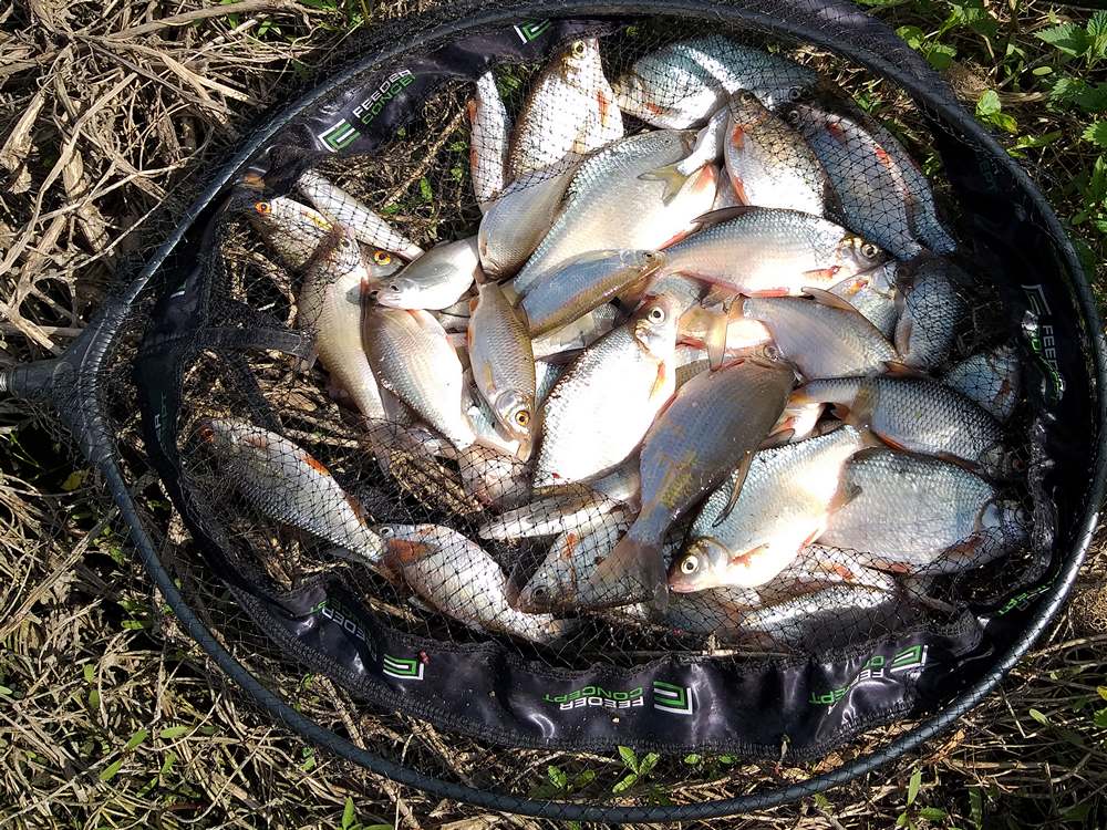 Маховая ловля на реках с ощутимым течением 0010.JPG