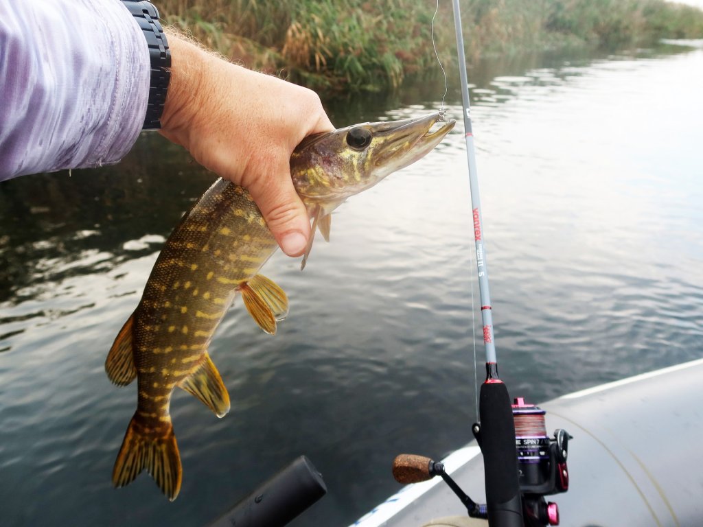Щука и спиннинговая снасть