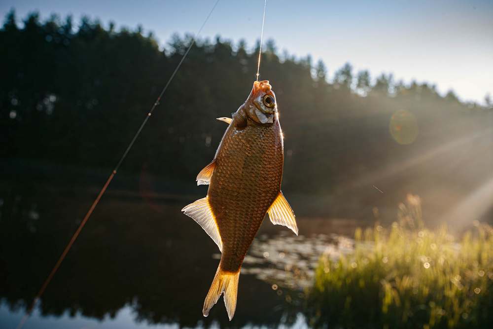 речные прогоны в сентябре 0003.JPG